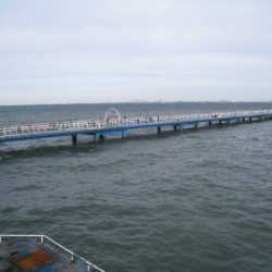 オリジナルメーカー海づり公園(市原市海づり施設) 釣果