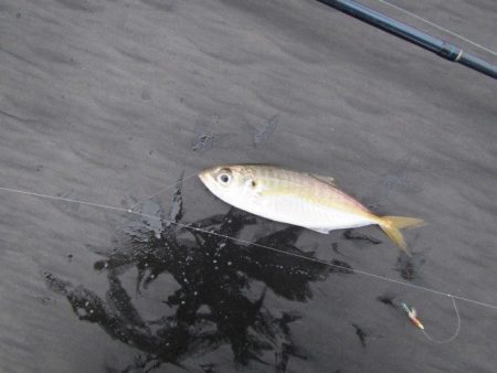 オリジナルメーカー海づり公園(市原市海づり…