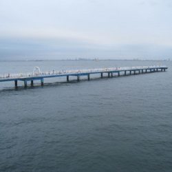 オリジナルメーカー海づり公園(市原市海づり施設) 釣果