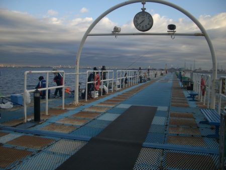 オリジナルメーカー海づり公園(市原市海づり施設) 釣果
