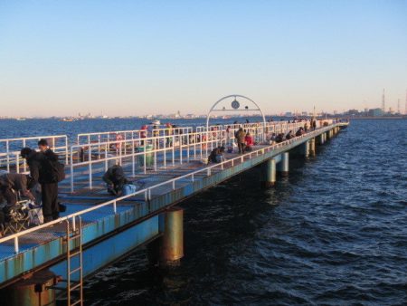 オリジナルメーカー海づり公園(市原市海づり施設) 釣果
