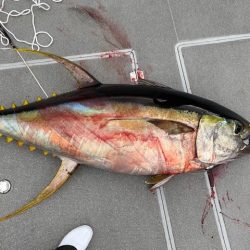 へいみつ丸 釣果