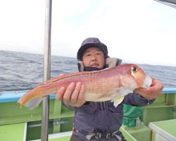 久里浜黒川本家 釣果