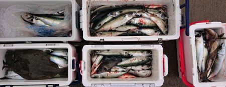 気仙沼　つり丸 釣果