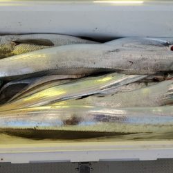 遊漁船 ニライカナイ 釣果