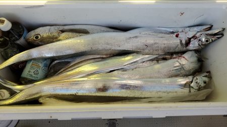 遊漁船 ニライカナイ 釣果