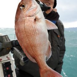 遊漁船 ニライカナイ 釣果
