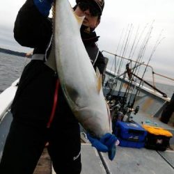 ファイヤードルフィン 釣果