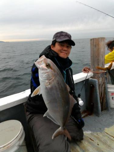 ファイヤードルフィン 釣果