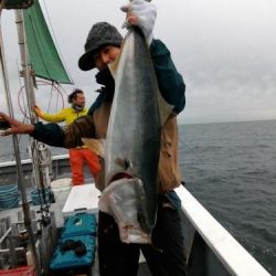 ファイヤードルフィン 釣果