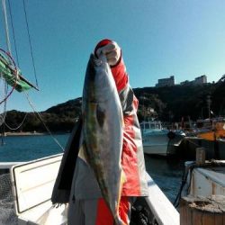 ファイヤードルフィン 釣果