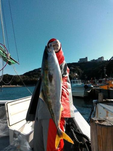 ファイヤードルフィン 釣果