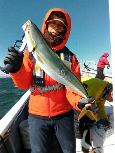 ファイヤードルフィン 釣果