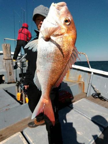 ファイヤードルフィン 釣果