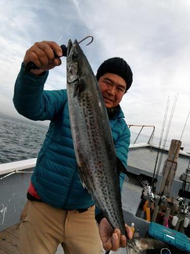 ファイヤードルフィン 釣果