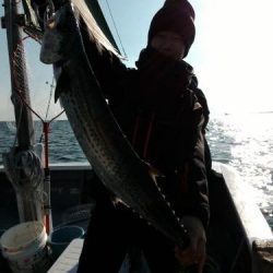 ファイヤードルフィン 釣果