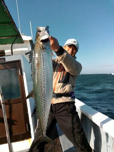 ファイヤードルフィン 釣果