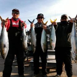 ファイヤードルフィン 釣果