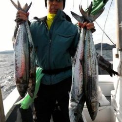 ファイヤードルフィン 釣果