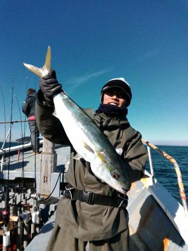 ファイヤードルフィン 釣果