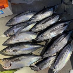 へいみつ丸 釣果