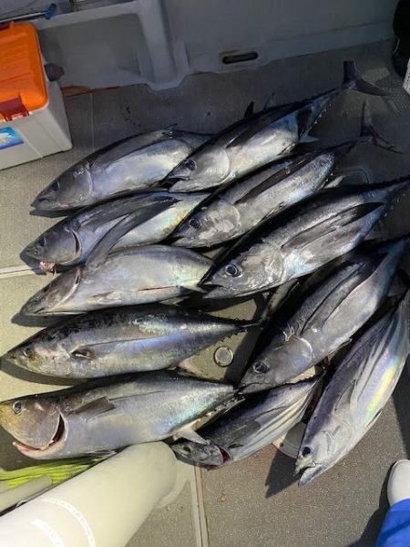 へいみつ丸 釣果