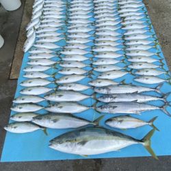 まるいち丸 ZERO-1 釣果