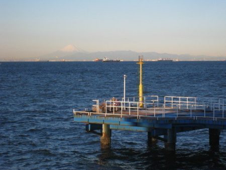 オリジナルメーカー海づり公園(市原市海づり施設) 釣果