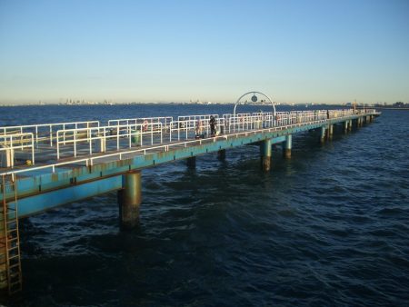 オリジナルメーカー海づり公園(市原市海づり施設) 釣果