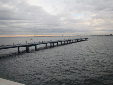 オリジナルメーカー海づり公園(市原市海づり施設) 釣果