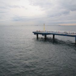 オリジナルメーカー海づり公園(市原市海づり施設) 釣果