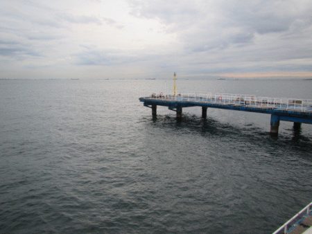 オリジナルメーカー海づり公園(市原市海づり施設) 釣果