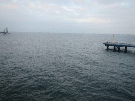 オリジナルメーカー海づり公園(市原市海づり施設) 釣果