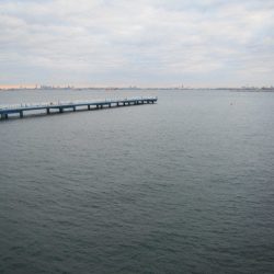 オリジナルメーカー海づり公園(市原市海づり施設) 釣果