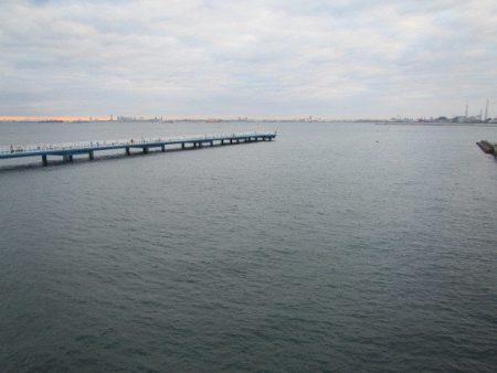 オリジナルメーカー海づり公園(市原市海づり施設) 釣果