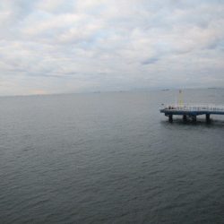 オリジナルメーカー海づり公園(市原市海づり施設) 釣果