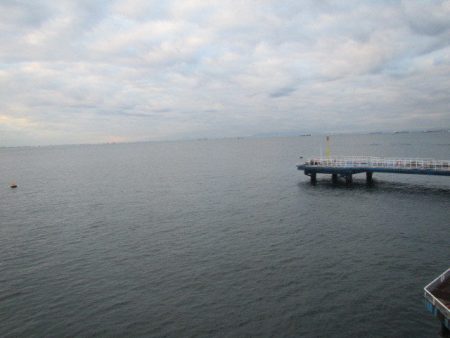 オリジナルメーカー海づり公園(市原市海づり施設) 釣果