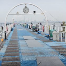 オリジナルメーカー海づり公園(市原市海づり施設) 釣果