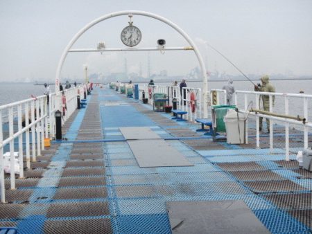 オリジナルメーカー海づり公園(市原市海づり施設) 釣果