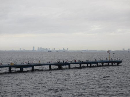 オリジナルメーカー海づり公園(市原市海づり施設) 釣果