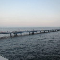 オリジナルメーカー海づり公園(市原市海づり施設) 釣果