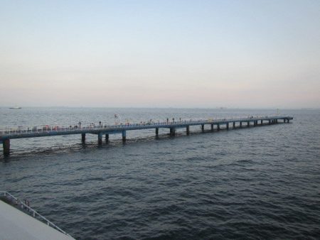 オリジナルメーカー海づり公園(市原市海づり施設) 釣果