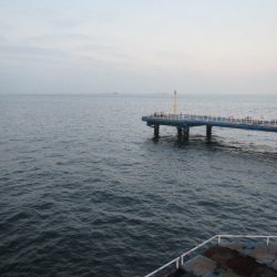 オリジナルメーカー海づり公園(市原市海づり施設) 釣果