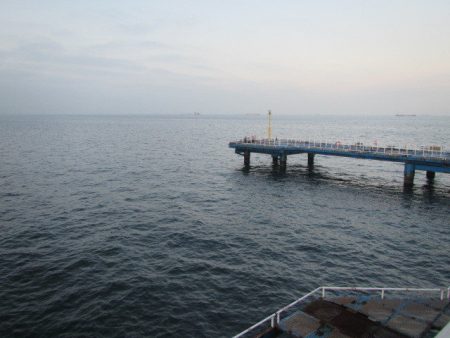オリジナルメーカー海づり公園(市原市海づり施設) 釣果