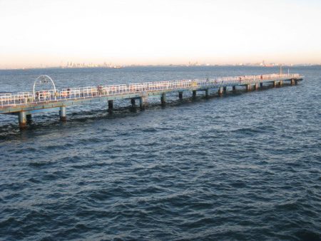 オリジナルメーカー海づり公園(市原市海づり施設) 釣果