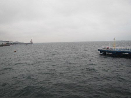 オリジナルメーカー海づり公園(市原市海づり施設) 釣果