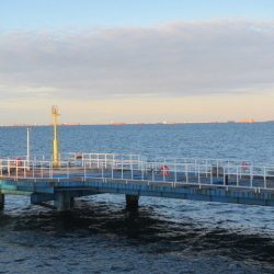 オリジナルメーカー海づり公園(市原市海づり施設) 釣果