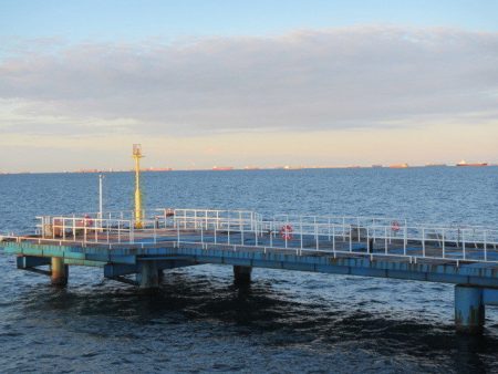 オリジナルメーカー海づり公園(市原市海づり施設) 釣果