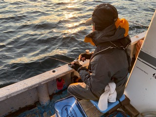 幸吉丸 釣果