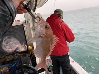 幸吉丸 釣果